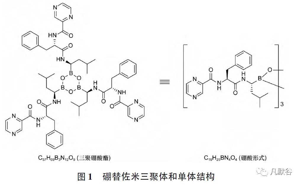 化學(xué)仿制藥有機雜質(zhì)分析和控制實例解析